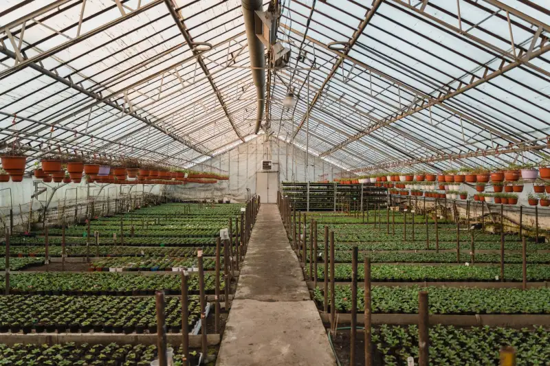 综合布线系统设计要点:北京浩亚科技楼宇弱电工程实践